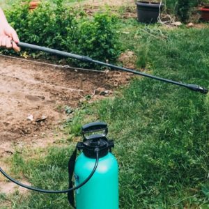 teenager-spraying-plants-garden